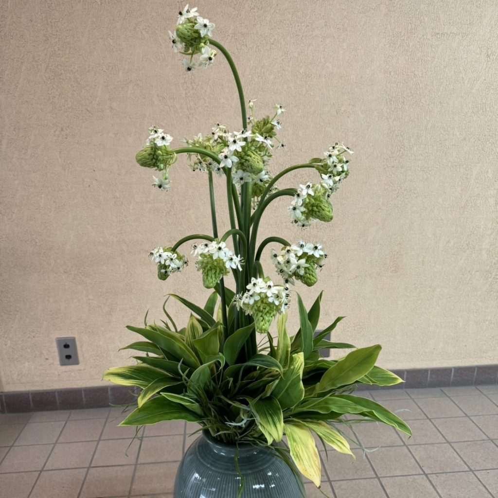 スライドショー左　季節の花